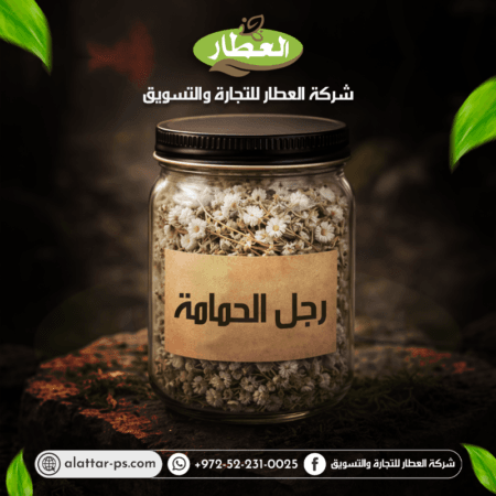 عشبة رجل الحمام - شركة العطار للتجارة والتسويق - جنين - دوار يحيى عياش - برطعة الشرقية - وسط البلد